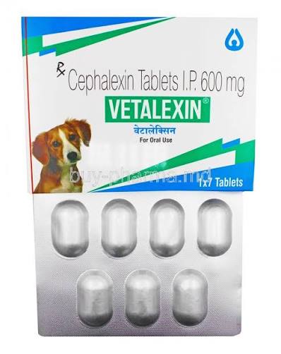 VETALEXIN 600MG TABLET