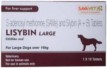 LISYBIN LARGE TABLET