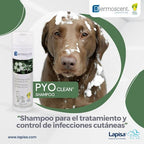 PYO CLEAN SHAMPOO