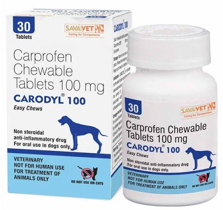 CARODYL 100 TABLET