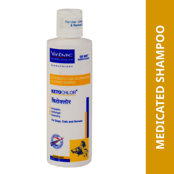 KETCHLOR  SHAMPOO