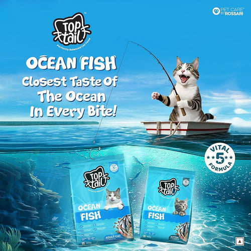 TOPTAIL  KITTEN OCEAN FISH DRY FOOD (XS)