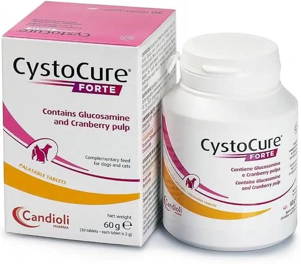 CYSTOCURE FORTE TABLET