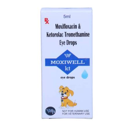 MOXIWELL KT DROPS