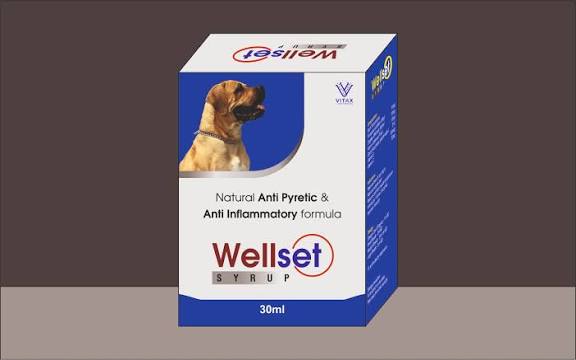 WELLSET SYRUP