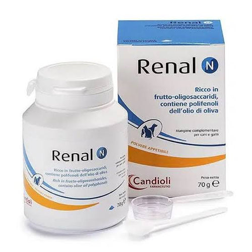 RENAL N POWDER
