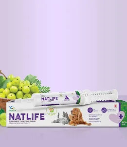NATLIFE ORAL PASTE