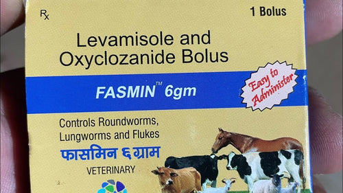 FASMIN 6GM BOLUS