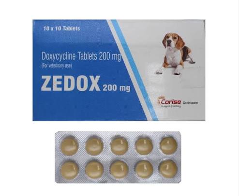 ZEDOX 200 TABLET
