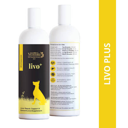 LIVO+ SYRUP (S)