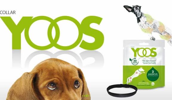 YOOS COLLAR (M-L)