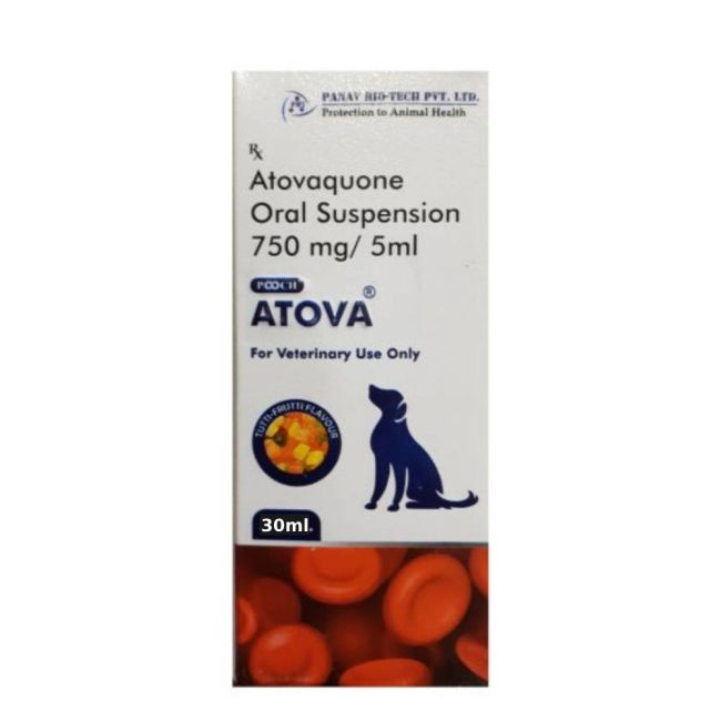 POOCH ATOVA SUSPENSION – Surya Vets