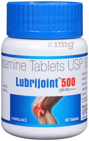 LUBRIJOINT 500MG TABLET