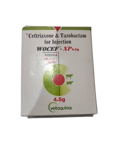 WOCEF XP 4500MG INJ