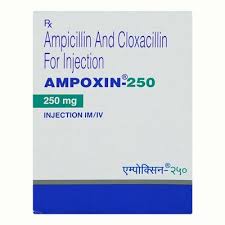 AMPOXIN 250MG INJ