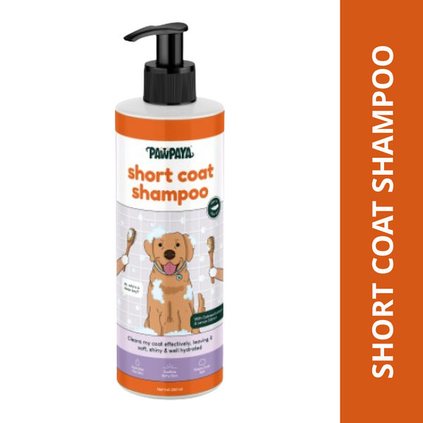 PAWPAYA SHORT COAT SHAMPOO