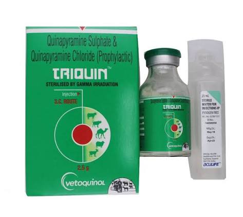TRIQUIN INJ