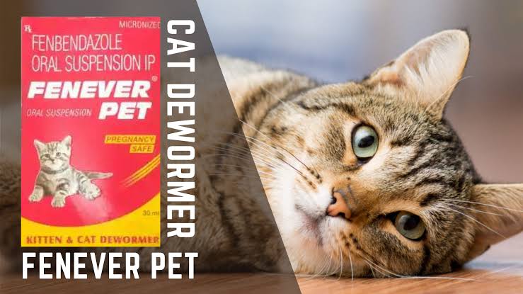 FENEVER PET SYRUP