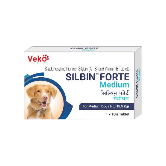 SILBIN FORTE MEDIUM TABLET