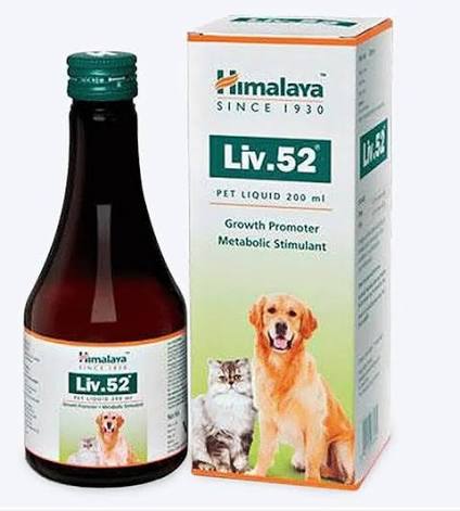 LIV 52 PET SYRUP
