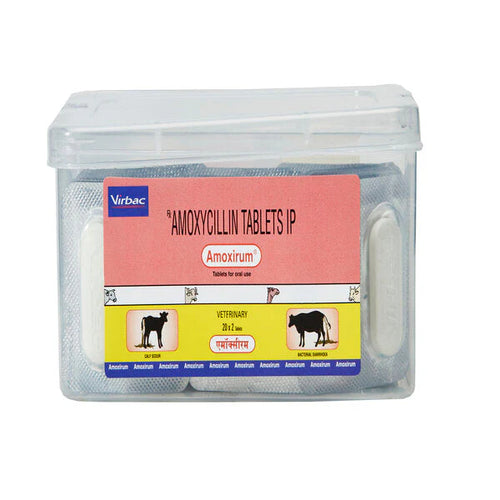 AMOXIRUM BOLUS