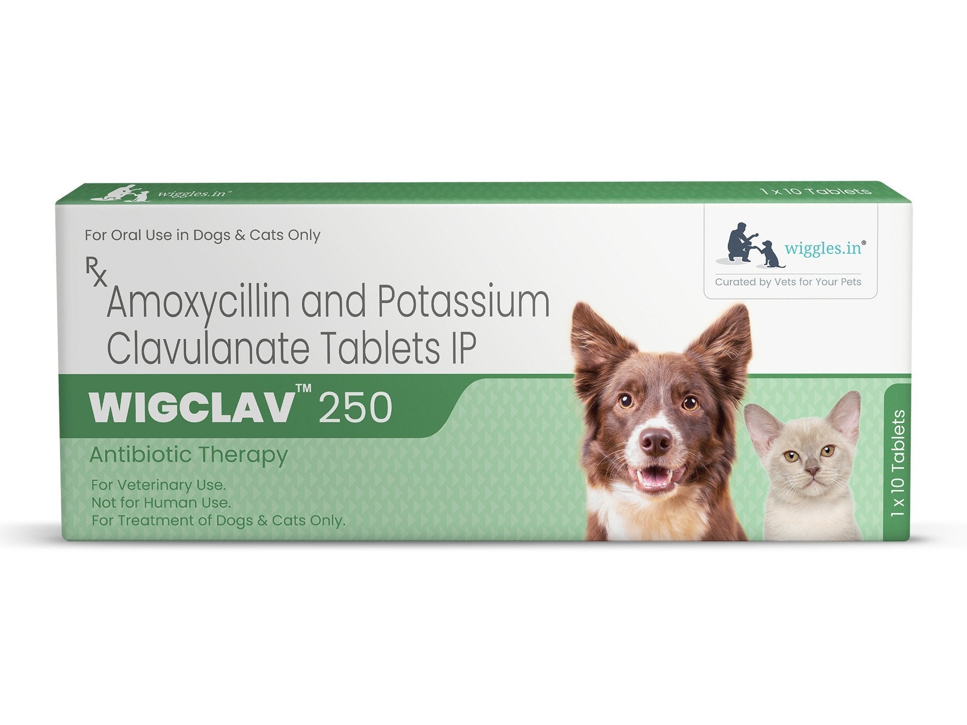 WIGCLAV 250 10TAB
