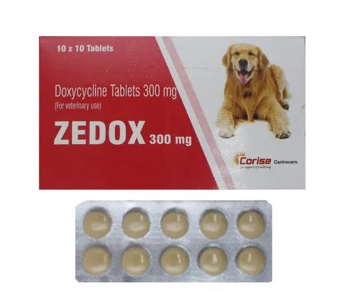 ZEDOX 300 TABLET